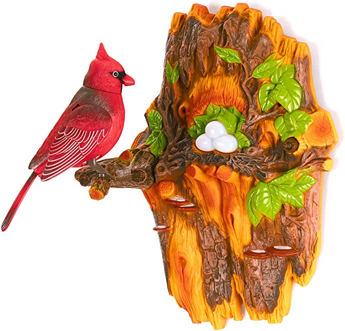 Charming Song Birds - Cardinal